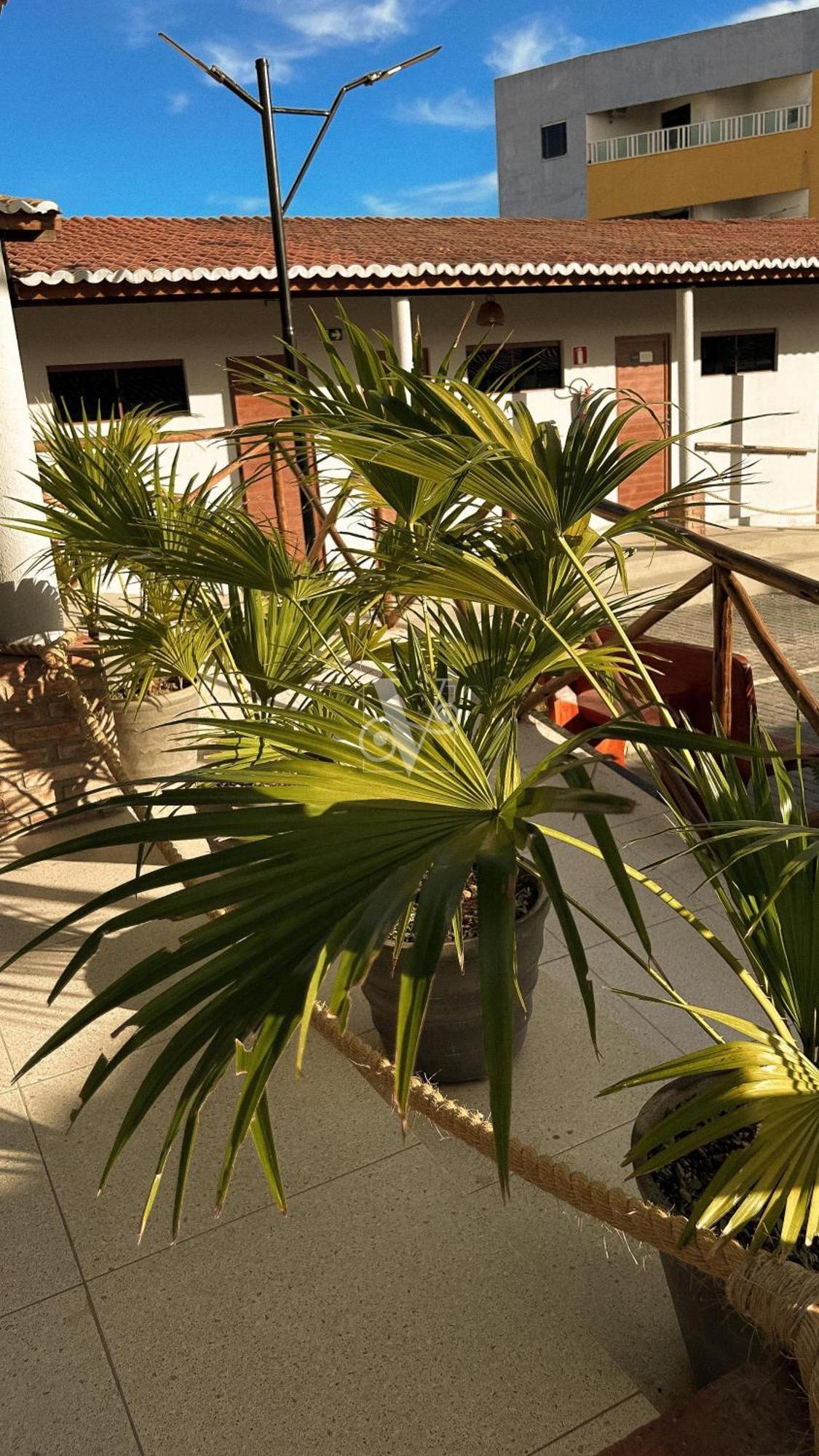 Village Comfort Hotel Caninde de Sao Francisco Ngoại thất bức ảnh